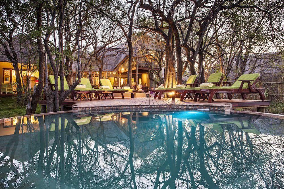 Tambuti Lodge Pilanesberg Bagian luar foto